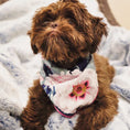 Load image into Gallery viewer, Eden Dog Bandana