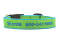 Load image into Gallery viewer, Up Country Color Market - Narrow Cast Brass Dog Collar