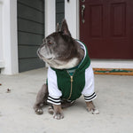 Frenchie Dog Hoodie - Emerald City Varsity