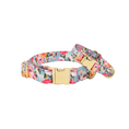 Load image into Gallery viewer, Emery Dog Collar