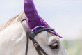 Load image into Gallery viewer, Purple Amethyst Fly Hat
