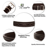 ExionPro Fancy Stitched Padded Leather Dog Collar - Brown Padding