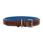 ExionPro Fancy Stitched Padded Leather Dog Collar - Blue Padding