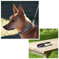 Load image into Gallery viewer, ExionPro White & Blue Bling Dog Collar With Leash