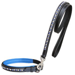 ExionPro White & Blue Bling Dog Collar With Leash