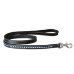 ExionPro Blue Bling Dog Leash
