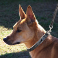 Load image into Gallery viewer, ExionPro Black Bling Dog Leash