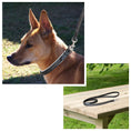 Load image into Gallery viewer, ExionPro Black Bling Dog Leash