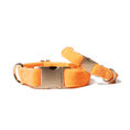 Load image into Gallery viewer, Ezra Dog Collar