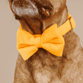 Load image into Gallery viewer, Ezra Dog Bow Tie