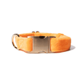 Load image into Gallery viewer, Ezra Dog Collar