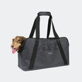 Load image into Gallery viewer, Dachshund Breezy Wanderer Fur-Free Pet Tote Bag