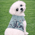 Load image into Gallery viewer, Luxury Equestrian Linen Harness