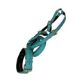 Load image into Gallery viewer, The Tiffany Collection. Gorgeous Turquoise Blue Embossed Croc Italian Leather Collar, Leash & Harness Set, With Our Classic Hardware