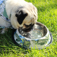 Load image into Gallery viewer, Tommy Bahama Pet - Stainless Steel Bowls