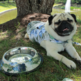 Load image into Gallery viewer, Tommy Bahama Pet - Stainless Steel Bowls