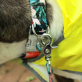 Load image into Gallery viewer, Tommy Bahama Pet - Collar & Leash Set