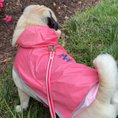 Load image into Gallery viewer, IZOD Pet - Packable Raincoat