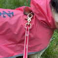 Load image into Gallery viewer, IZOD Pet - Packable Raincoat