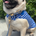 Load image into Gallery viewer, IZOD Pet - Collar & Leash Set