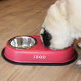 Load image into Gallery viewer, Izod Pet - Stainless Steel Double Feeder Bowl