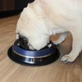 Load image into Gallery viewer, IZOD Pet - Stainless Steel Bowl