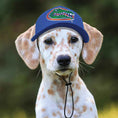 Load image into Gallery viewer, NCAA University of Florida Gators Dog Hat