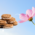 Load image into Gallery viewer, Oatmeal Organic Cream Pie Dog Treats