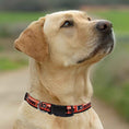 Load image into Gallery viewer, Philadelphia Flyers Satin Collar