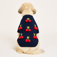 Load image into Gallery viewer, Found My Animal Cherries 3D Icon Sweater - image 3