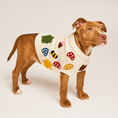 Load image into Gallery viewer, Found My Animal Fall Leaves 3D Icon Sweater - image 9