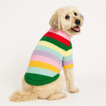 Load image into Gallery viewer, Found My Animal Hotdog 3D Icon Sweater