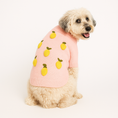 Load image into Gallery viewer, Found My Animal Lemon 3D Icon Sweater
