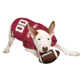 Load image into Gallery viewer, Florida State Seminoles College Dog Jersey - Official College Sports Pet Fan Apparel