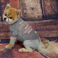 Load image into Gallery viewer, Florida State Seminoles Dog Shirt - College Pet Fan Apparel