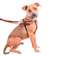 Load image into Gallery viewer, Falling Leaves Freedom No-Pull Dog Harness – EarthStyle
