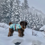 Bespoke Dog Coat/Raincoat Pattern Eco-Duvet