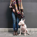 Load image into Gallery viewer, Up Country Feelin Groovy Cast Brass Dog Collar