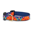 Load image into Gallery viewer, Up Country Feelin Groovy Cast Brass Dog Collar