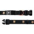 Load image into Gallery viewer, DOGISTRY The DOGISTRY x Fi Rockstar 3+ Collar Band