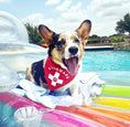 Load image into Gallery viewer, Fido Pet Lifeguard Dog Bandana