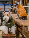 Load image into Gallery viewer, Eskimo Fuzzy Sweater - Green