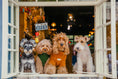 Load image into Gallery viewer, Eskimo Fuzzy Sweater - Orange