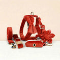 Load image into Gallery viewer, Red Velvet Set