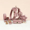 Load image into Gallery viewer, Light Purple Velvet Set