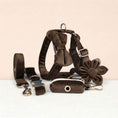 Load image into Gallery viewer, Dark Brown Velvet Set