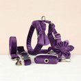 Load image into Gallery viewer, Velvet Purple Set