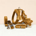 Load image into Gallery viewer, Light Coffee Velvet Set