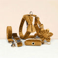Load image into Gallery viewer, Light Coffee Velvet Set