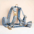 Load image into Gallery viewer, Blue Plaid Set